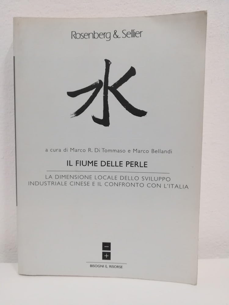 Il fiume delle perle. La dimensione locale dello sviluppo industriale cinese e il confronto con l'Italia book