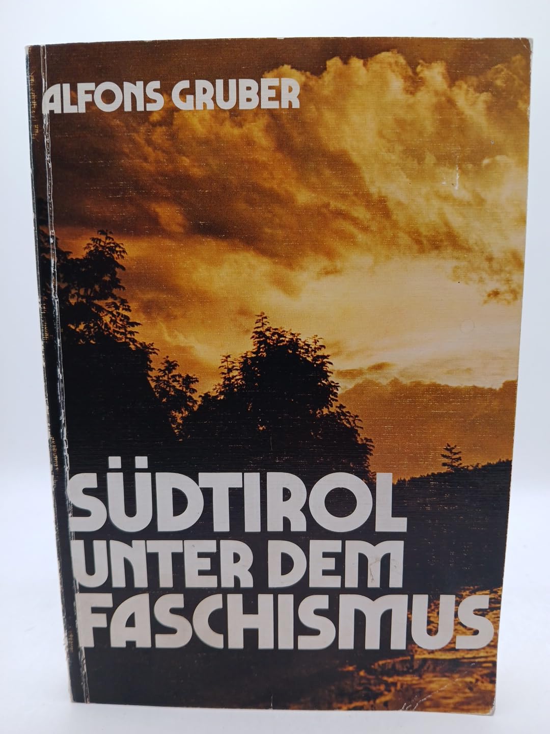 Südtirol unter dem Faschismus (Schriftenreihe des Südtiroler Kulturinstitutes) Social Sciences