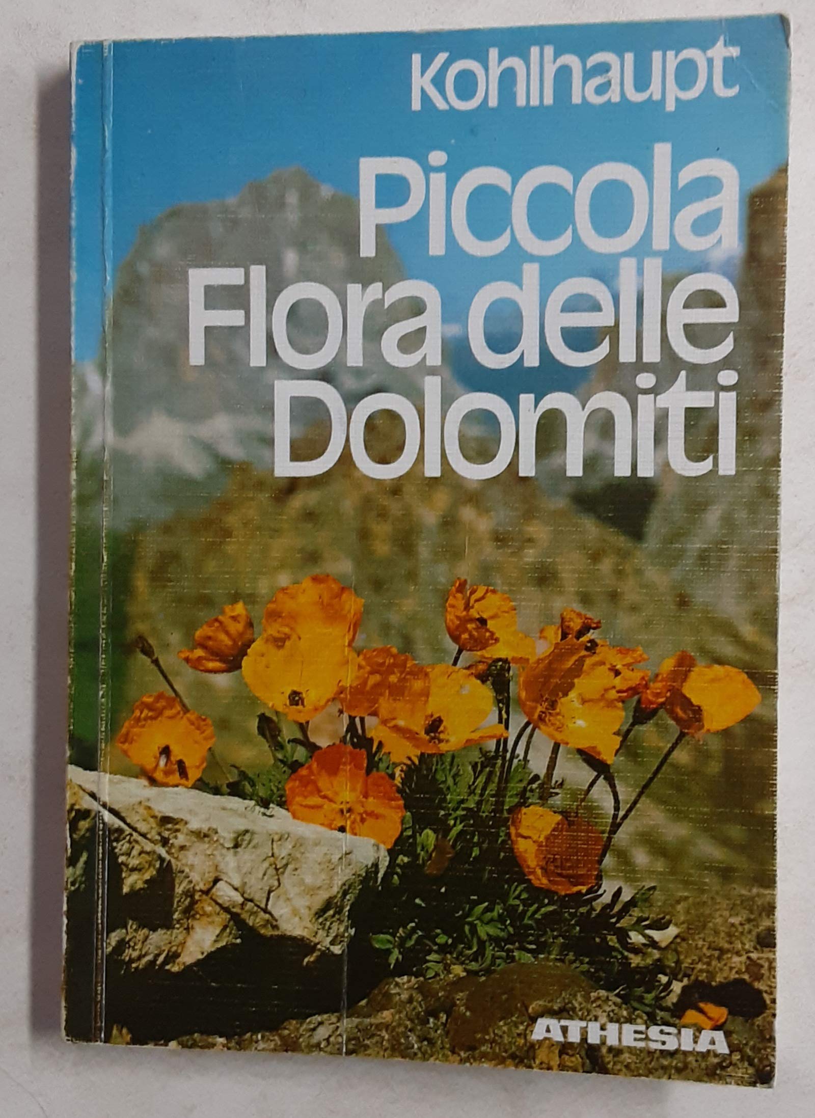 Piccola flora delle Dolomiti Leisure, Home & Garden