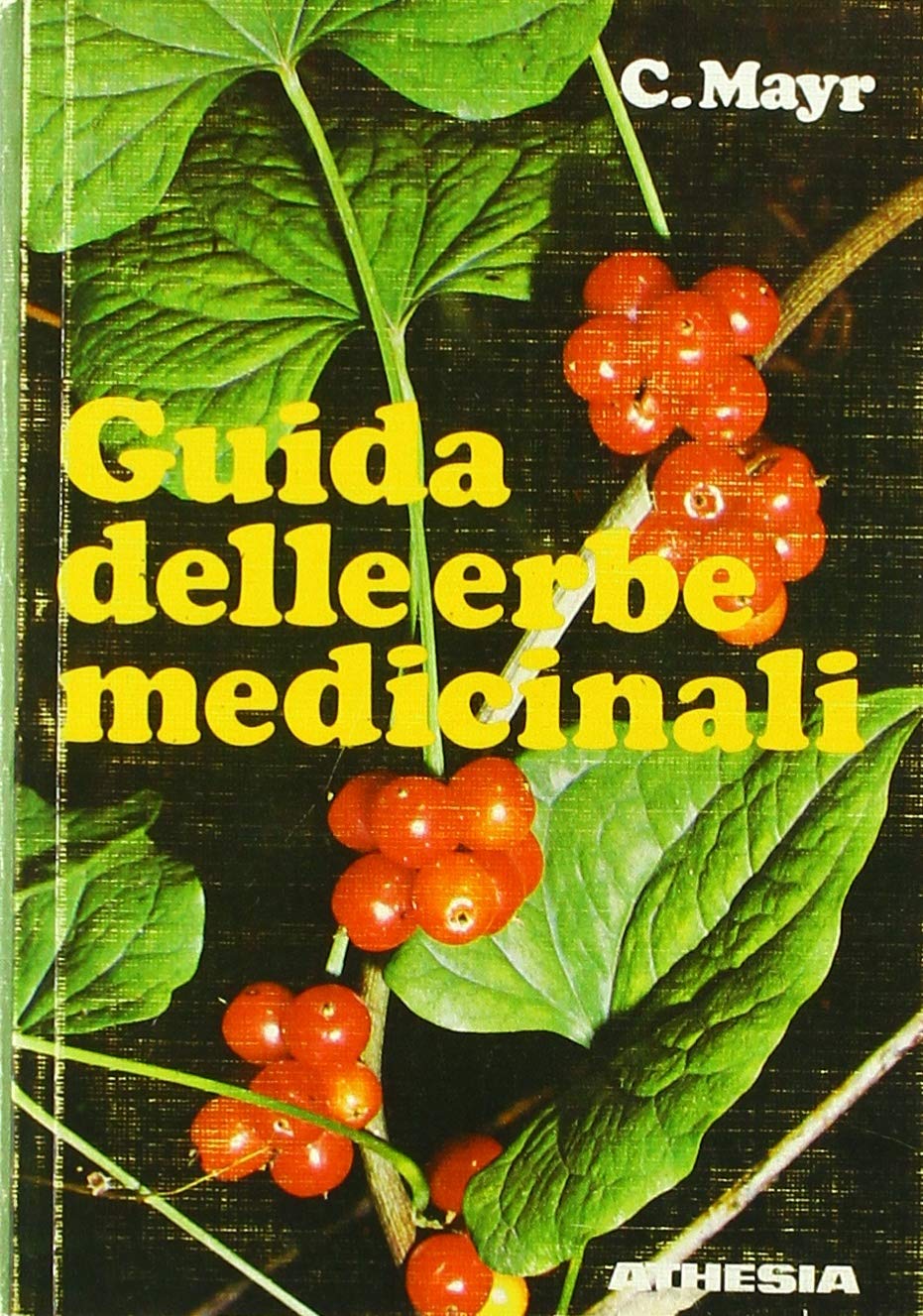 Guida delle erbe medicinali. 100 piante curative in libera crescita Health, Nutrition & Fitness