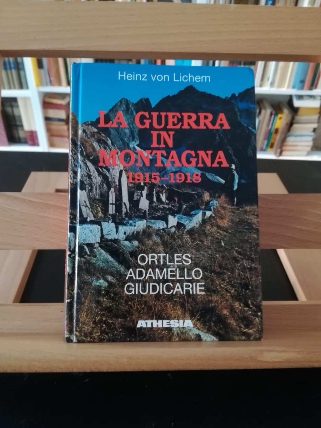 La guerra in montagna 1915-1918. Ortles, Adamello, Giudicarie, Garda ovest (Vol. 1) book