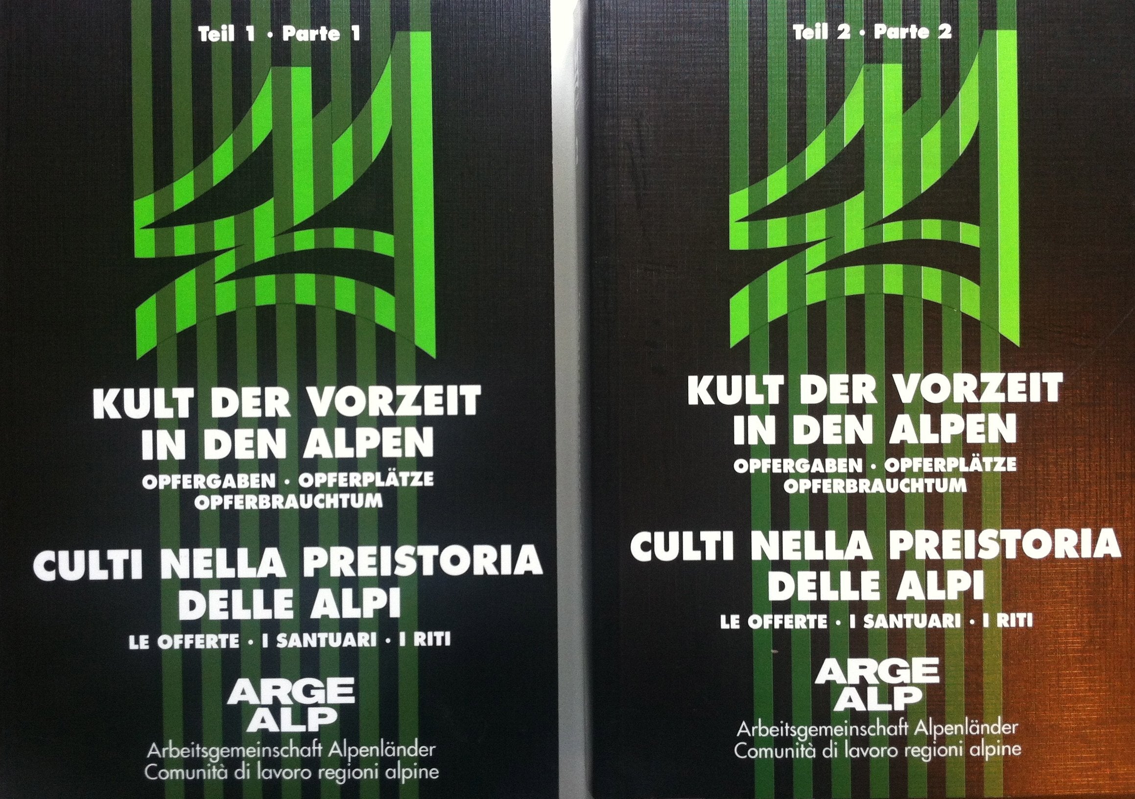 Kult der Vorzeit in den Alpen-Culti nella preistoria delle Alpi book
