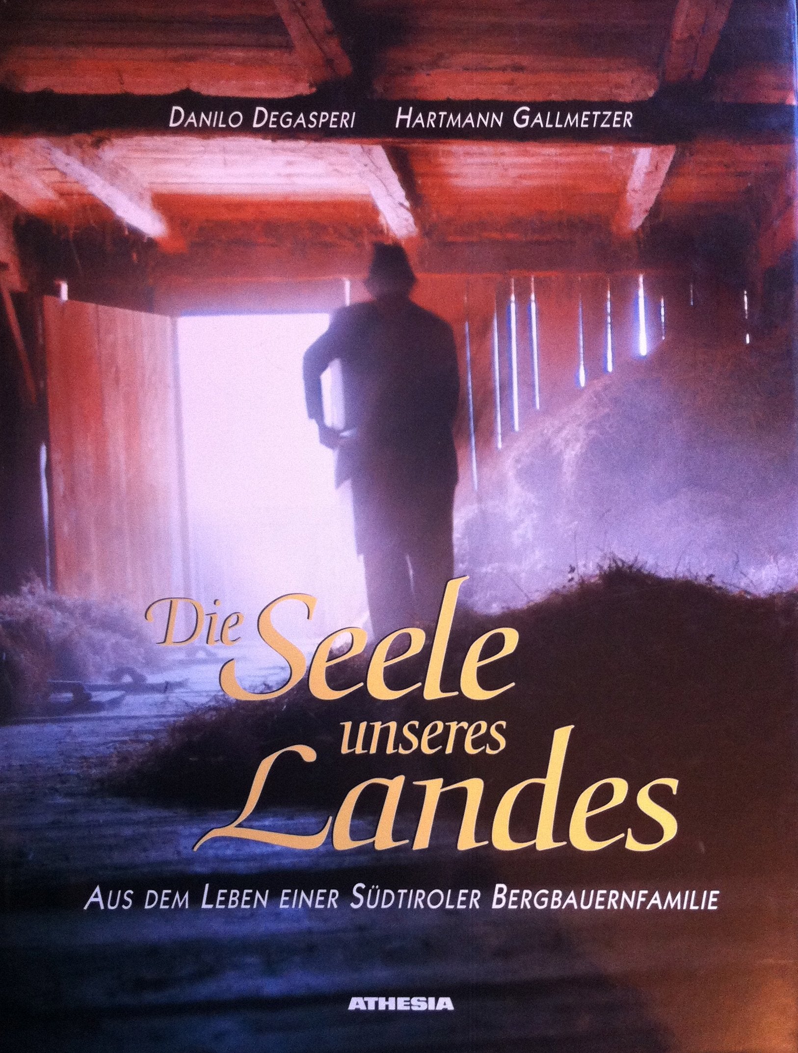 Die Seele Unseres Landes. Aus Dem Leben Eines Südtiroler book
