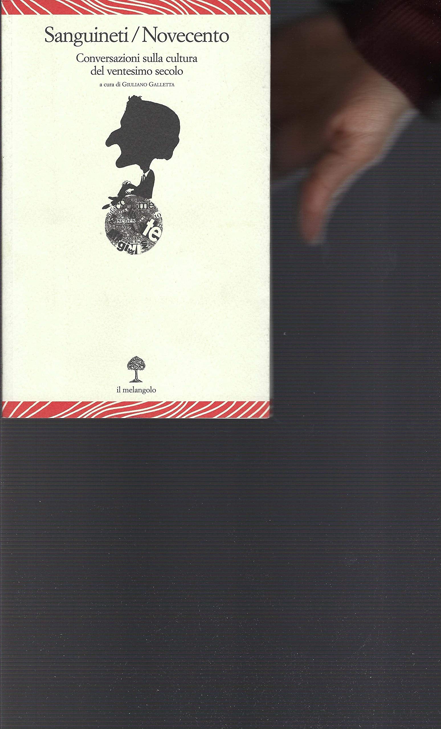 Sanguineti/Novecento. Conversazioni sulla cultura del ventesimo secolo book