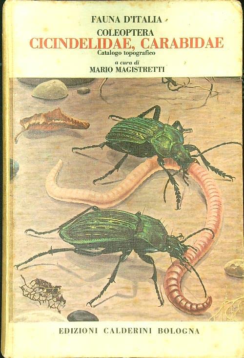Coleoptera: Cicindelidae, Carabidae book