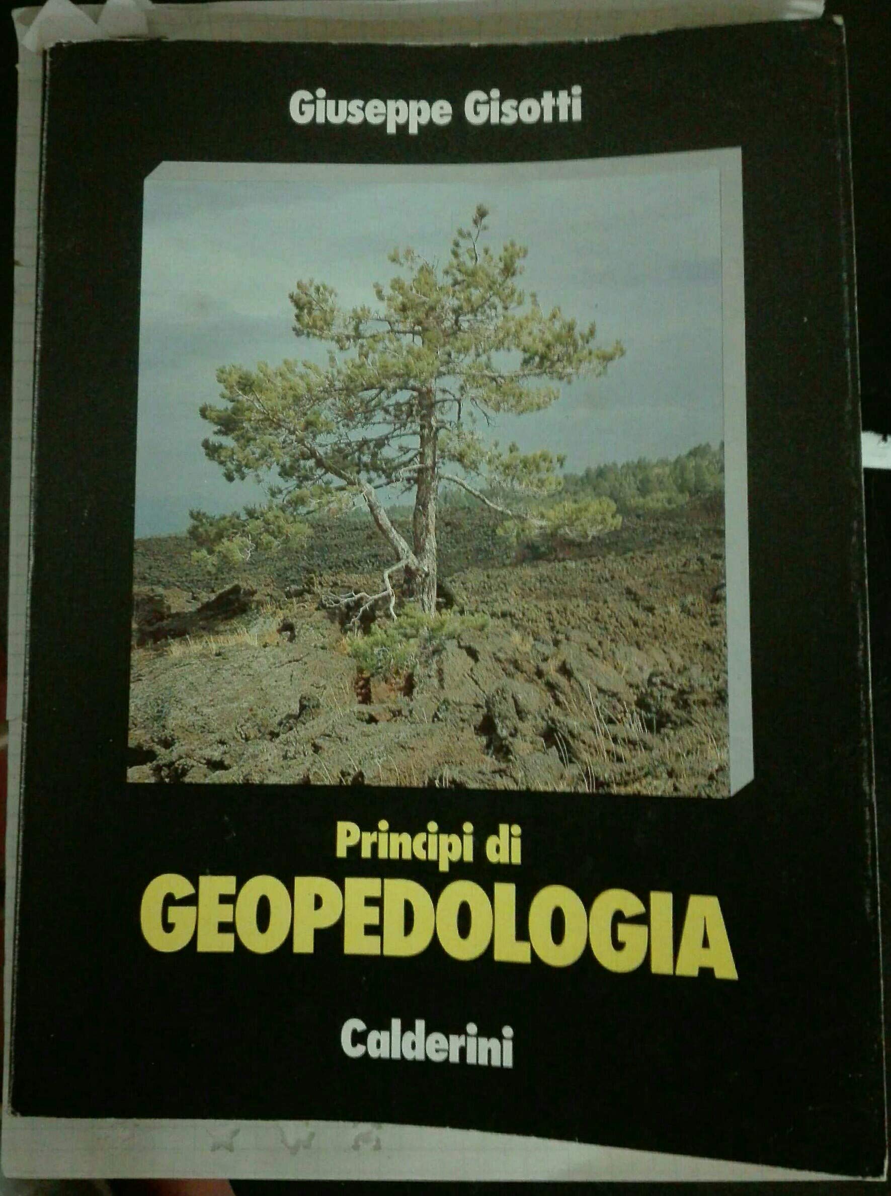 Principi di geopedologia Professional & Reference Books