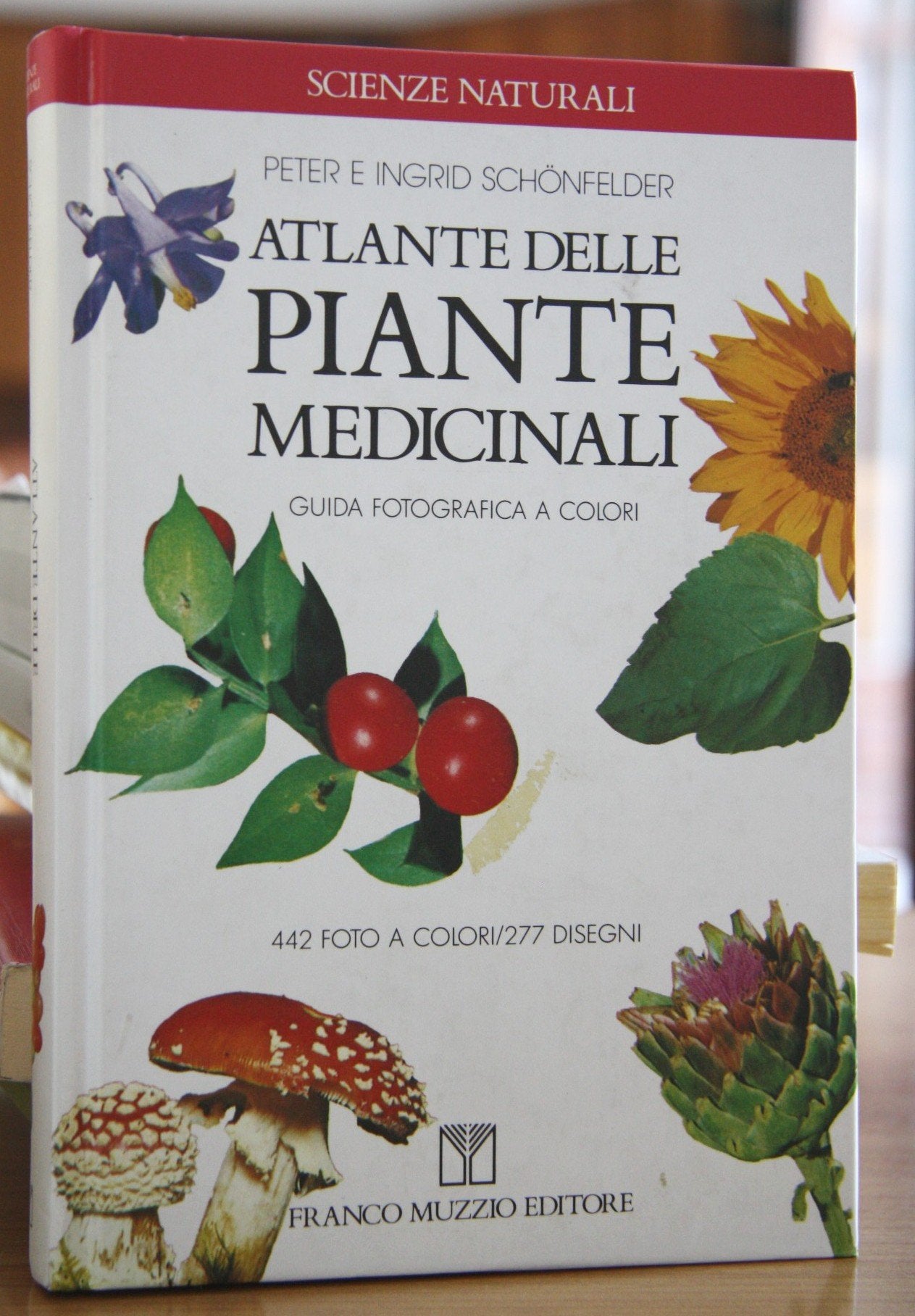 Atlante delle piante medicinali (Scienze naturali) Health, Nutrition & Fitness Books