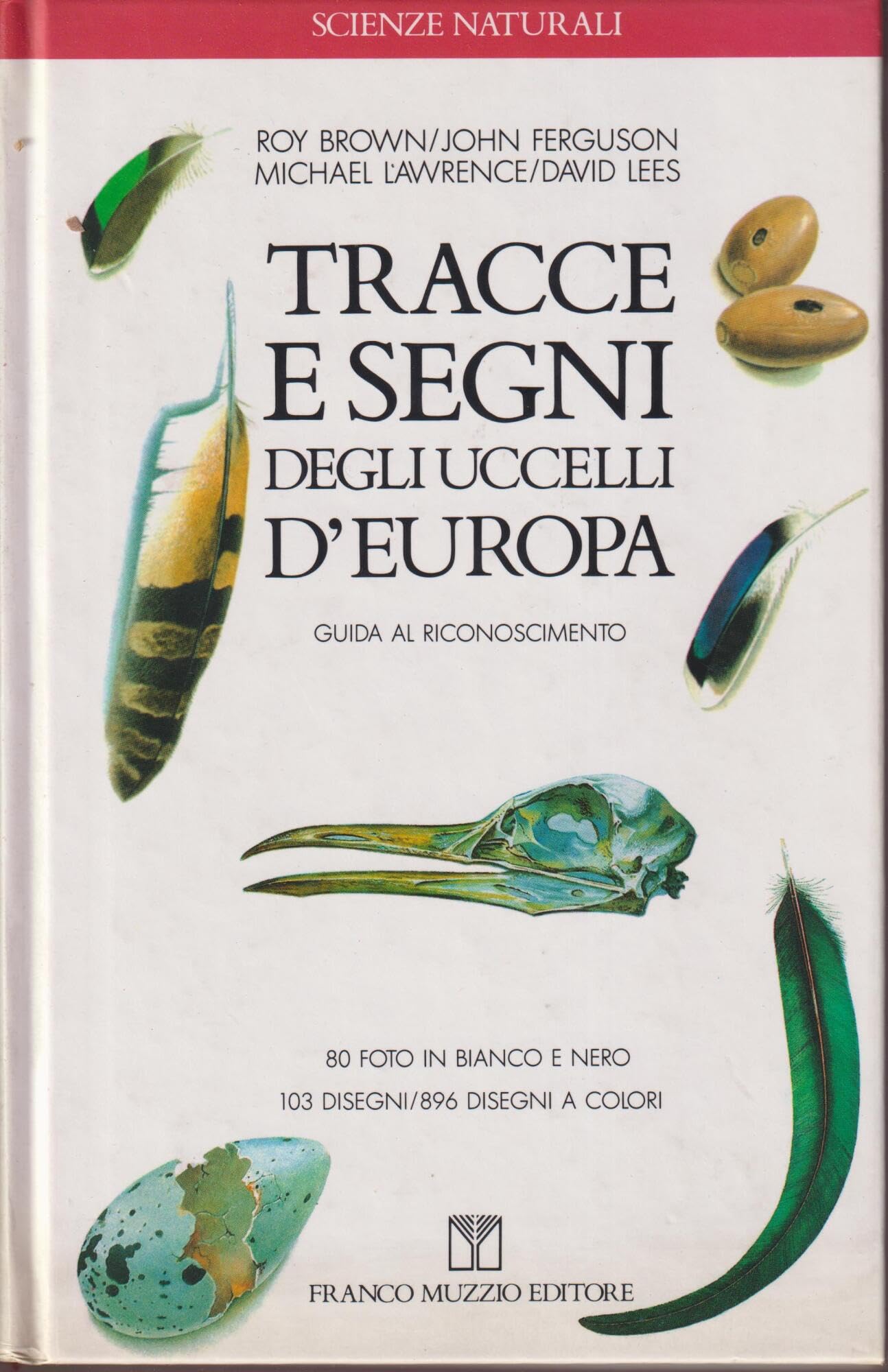 Tracce e segni degli uccelli d'Europa. Guida al riconoscimento book
