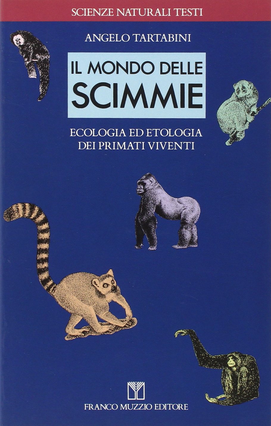 Il mondo delle scimmie. Ecologia ed etologia dei primati viventi (Scienze naturali. Testi) Natural Sciences
