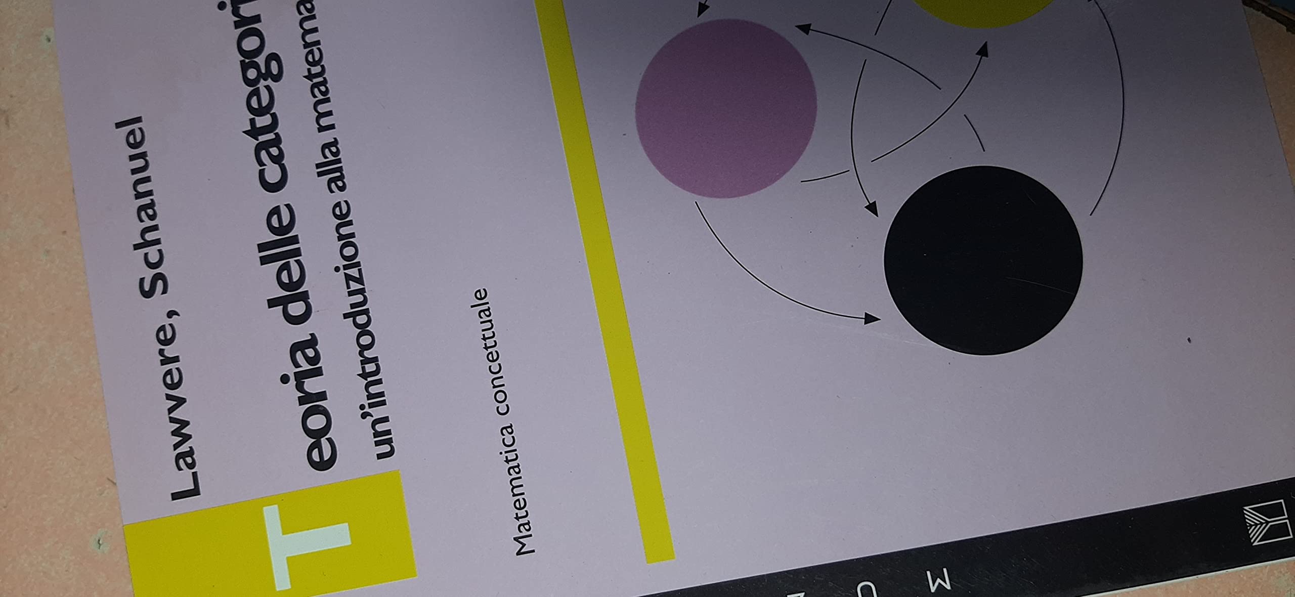 Teoria delle categorie. Un'introduzione alla matematica. Matematica concettuale book