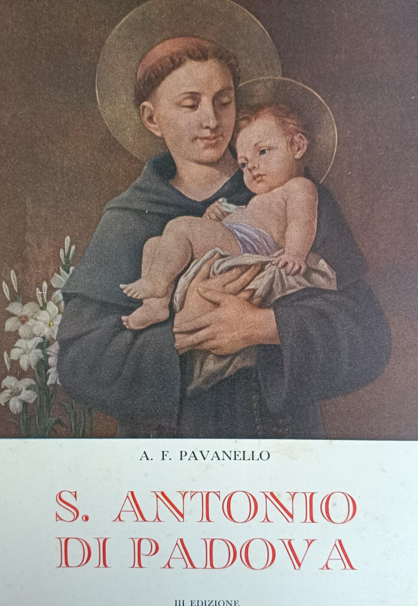S. Antonio di Padova book