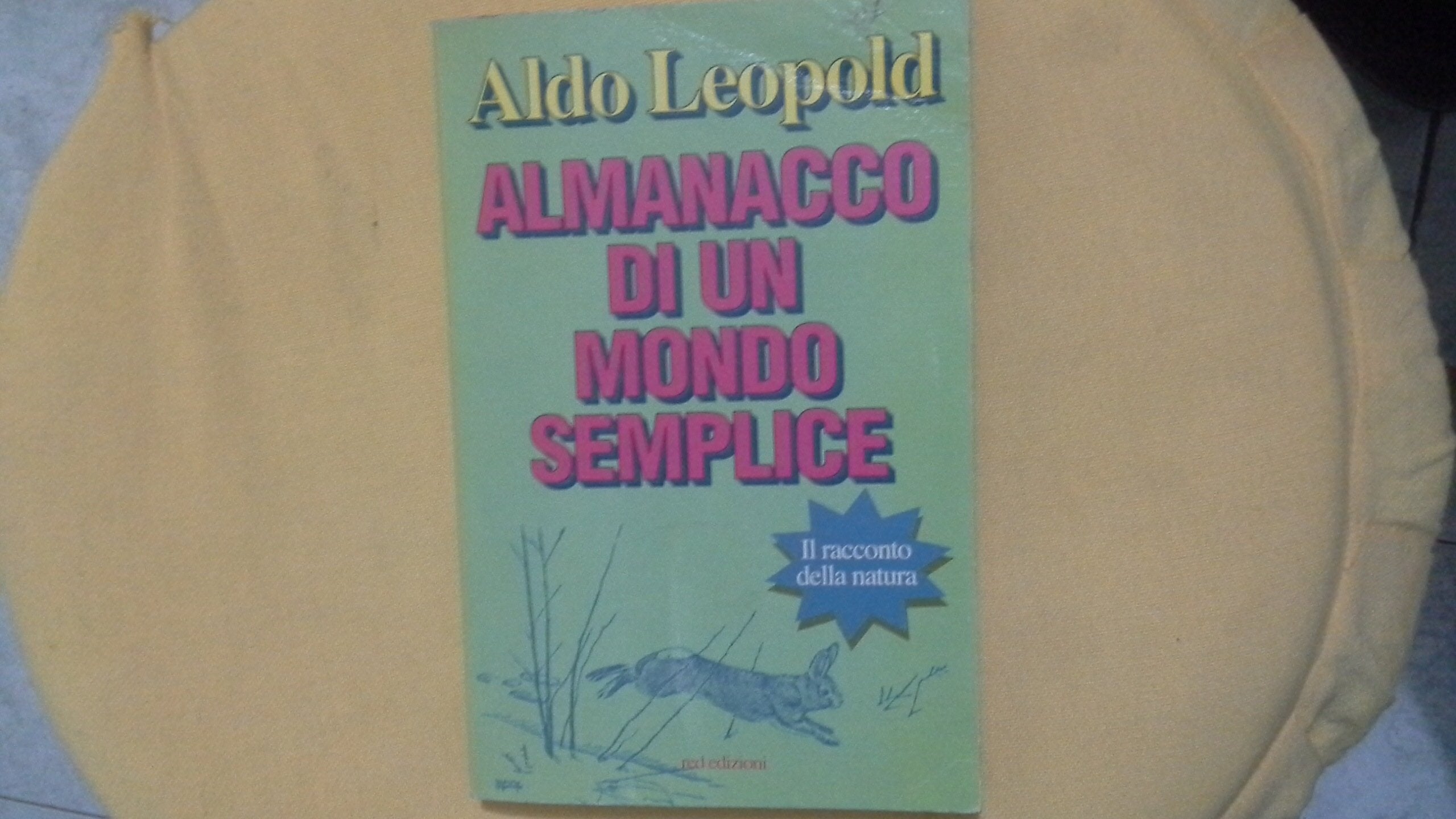 Almanacco di un mondo semplice book