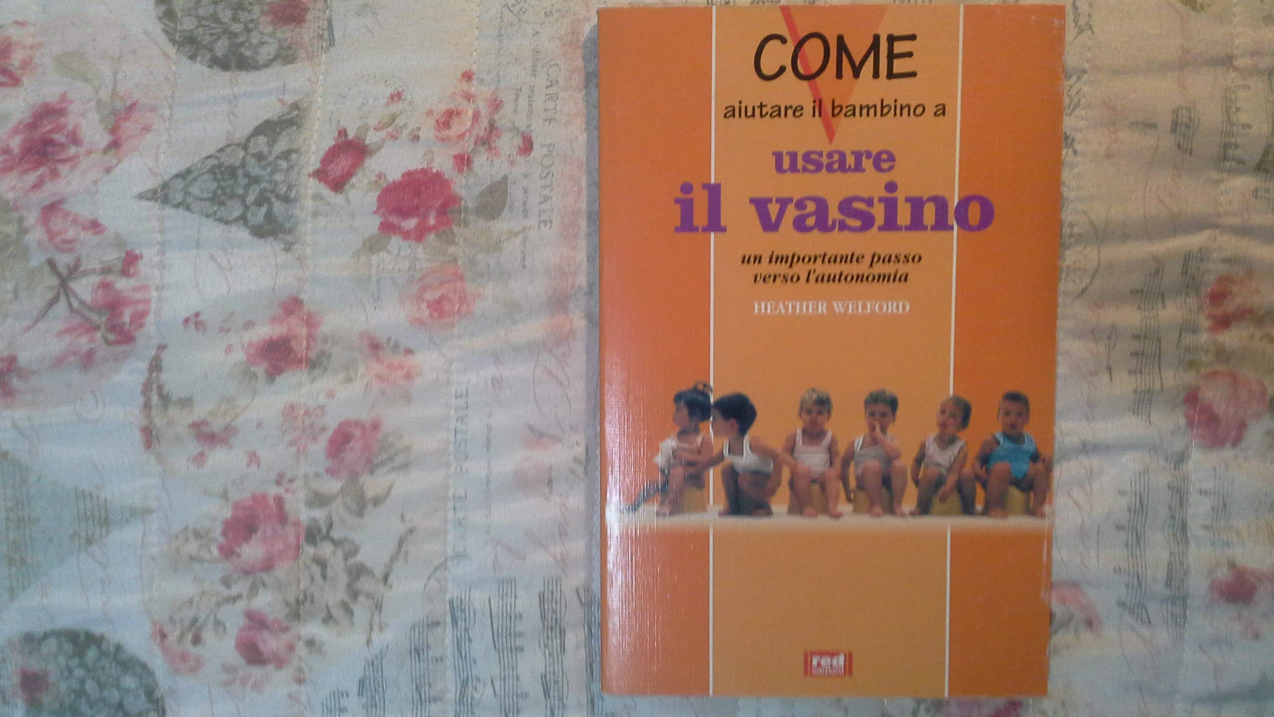Allenamento Al Vasino (L') cd