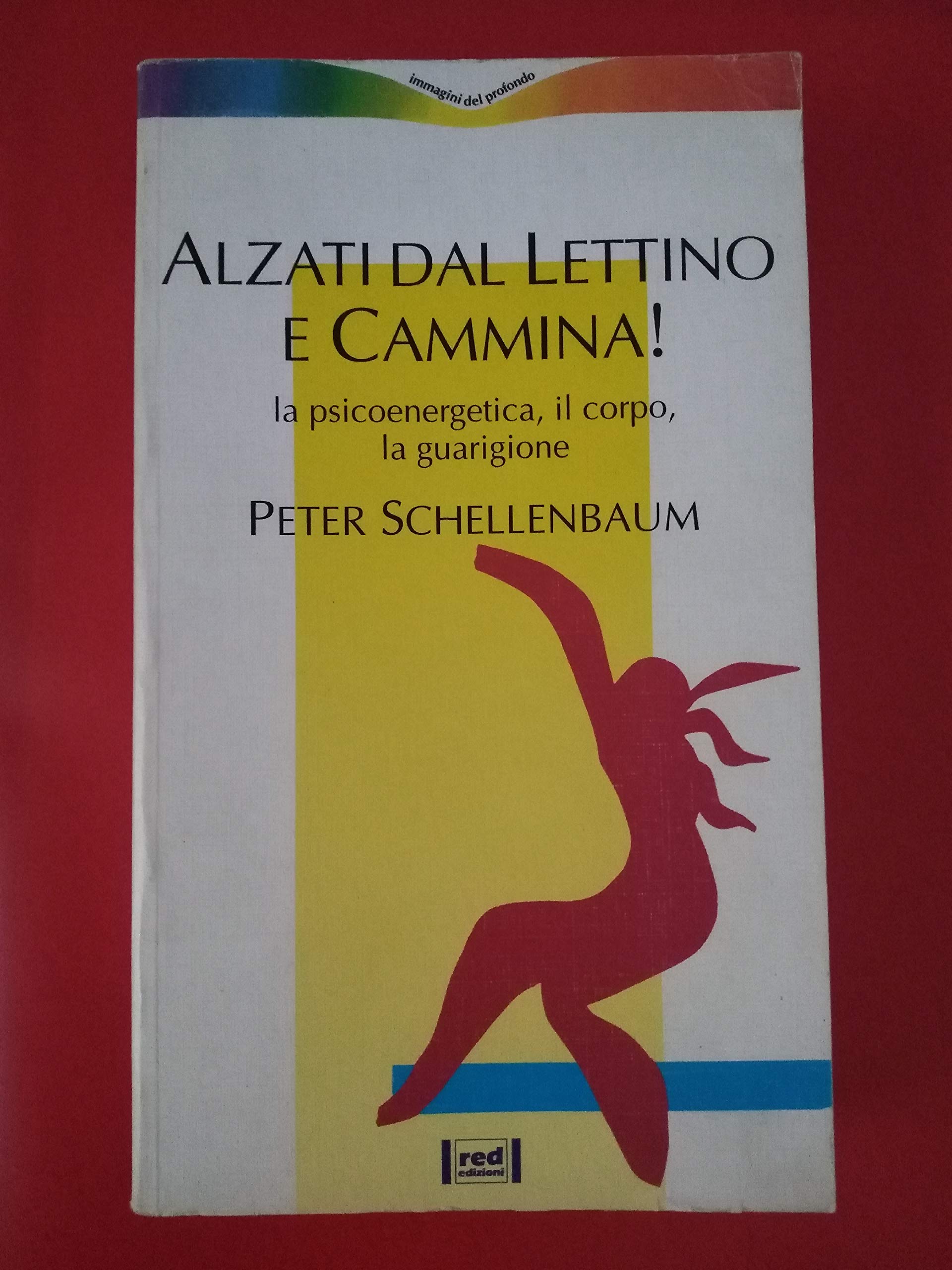 Alzati dal lettino e cammina! La psicoenergetica, il corpo, la guarigione (Immagini del profondo) Psychology