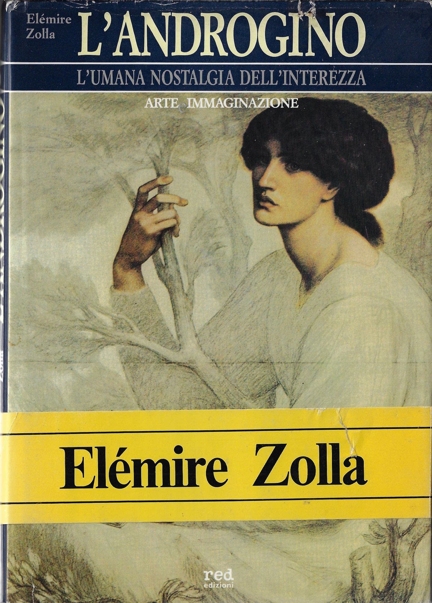 L'androgino. L'umana nostalgia dell'interezza book