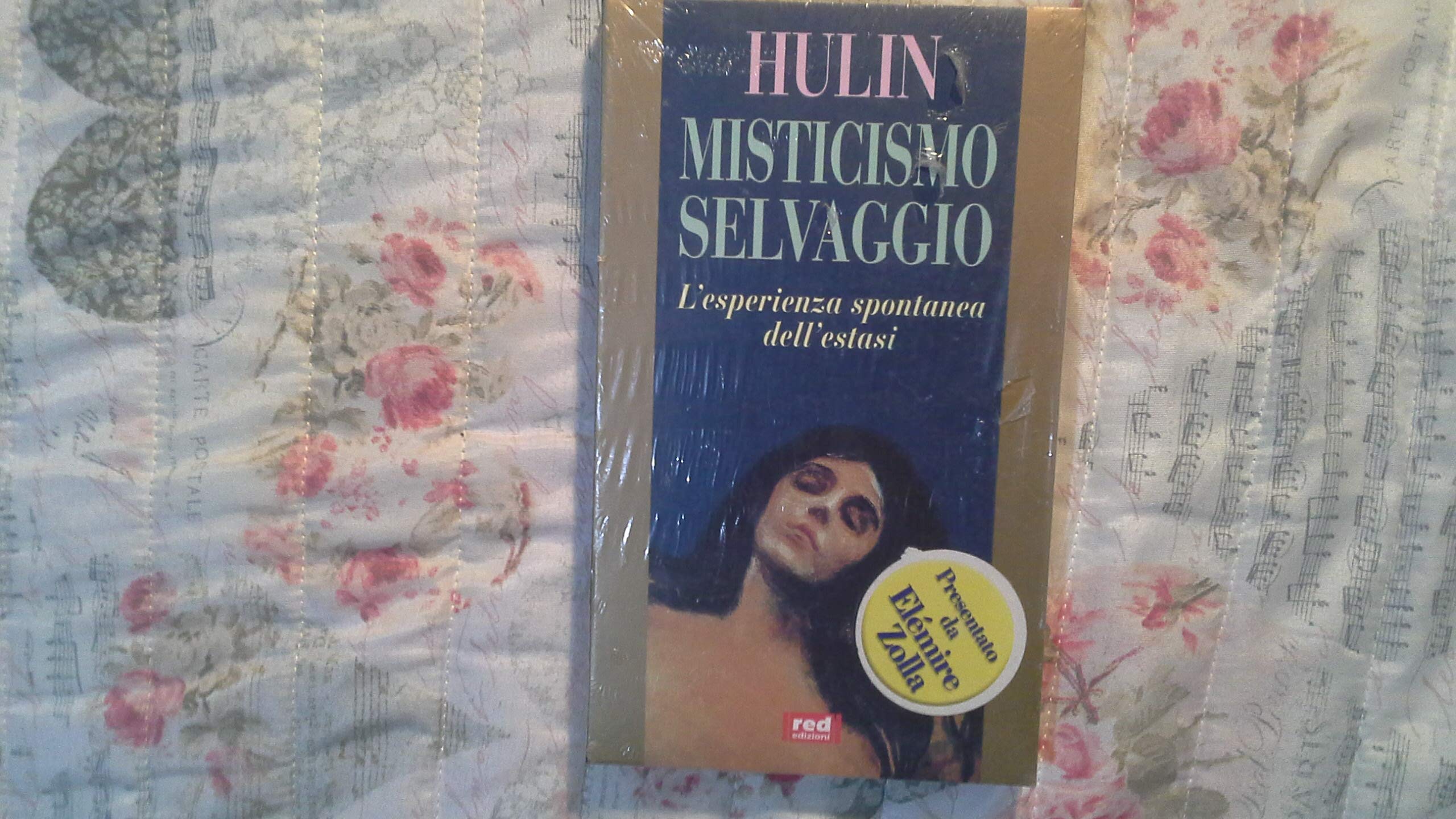 Misticismo selvaggio. L'esperienza spontanea dell'estasi (Uomini e dèi) Religion & Esotericism