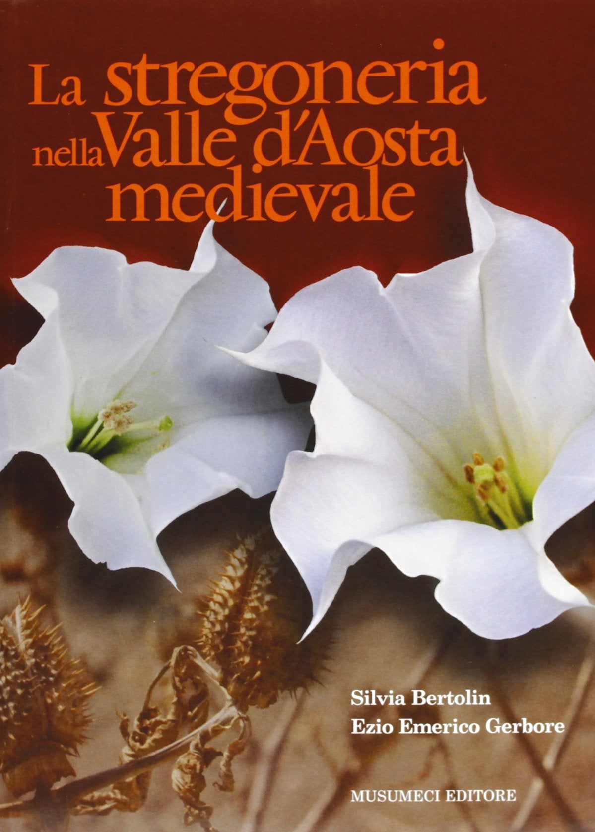 La stregoneria nella Valle d'Aosta medievale book