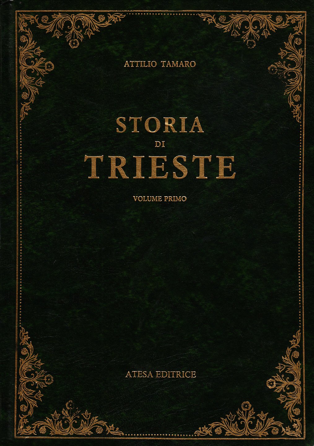 Storia di Trieste (rist. anast. Roma, 1924) book