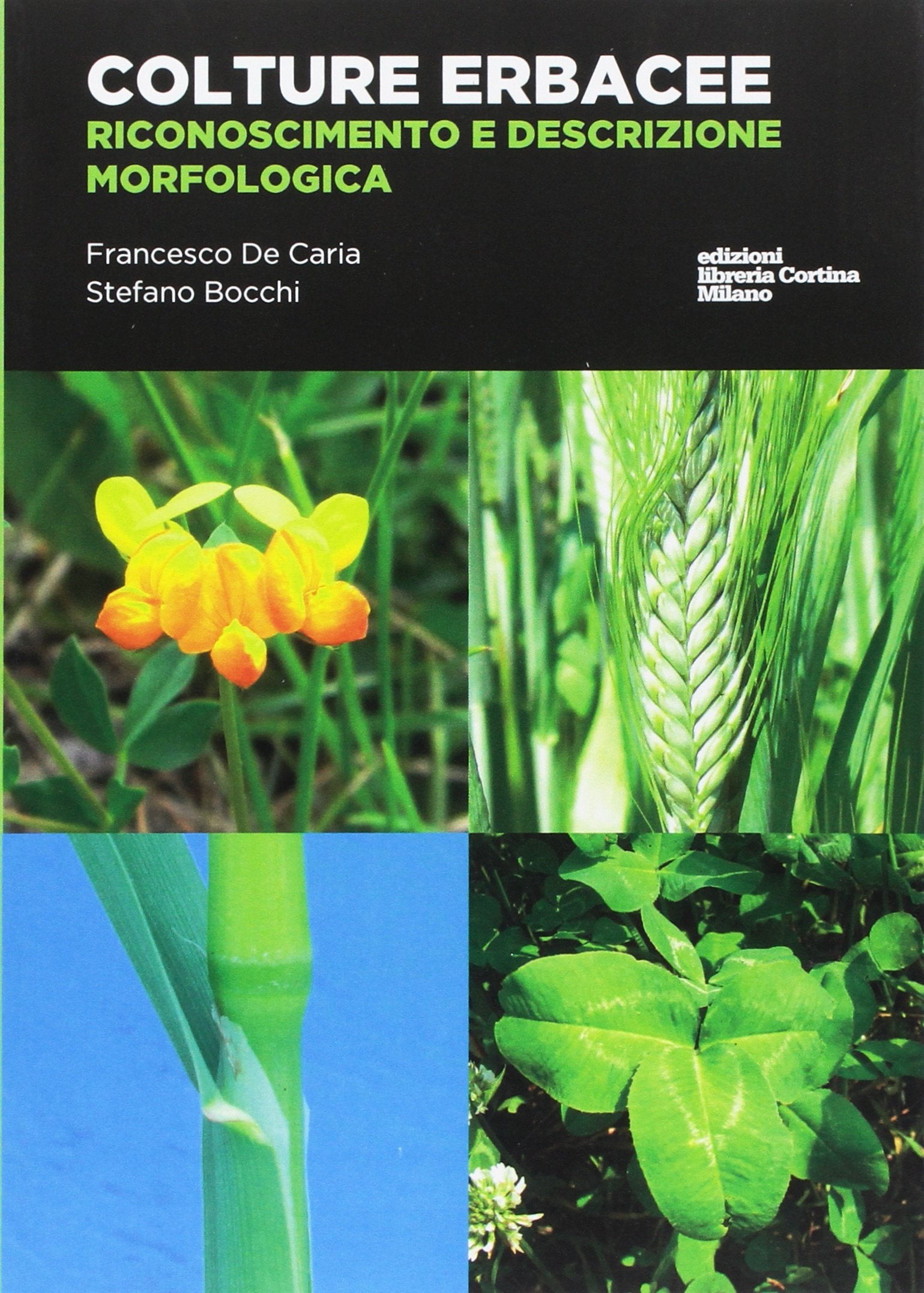 Colture erbacee. Riconoscimento e descrizione morfologica book