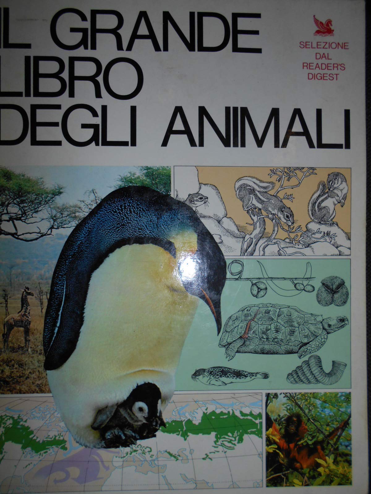 Il grande libro degli animali Leisure, Home & Garden