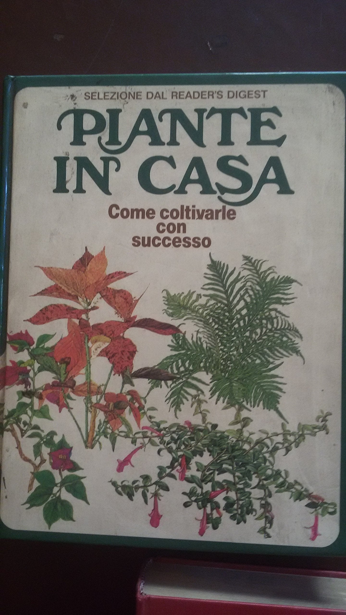 Piante in casa. Come coltivarle con successo (Piante e fiori) Garden & Plants