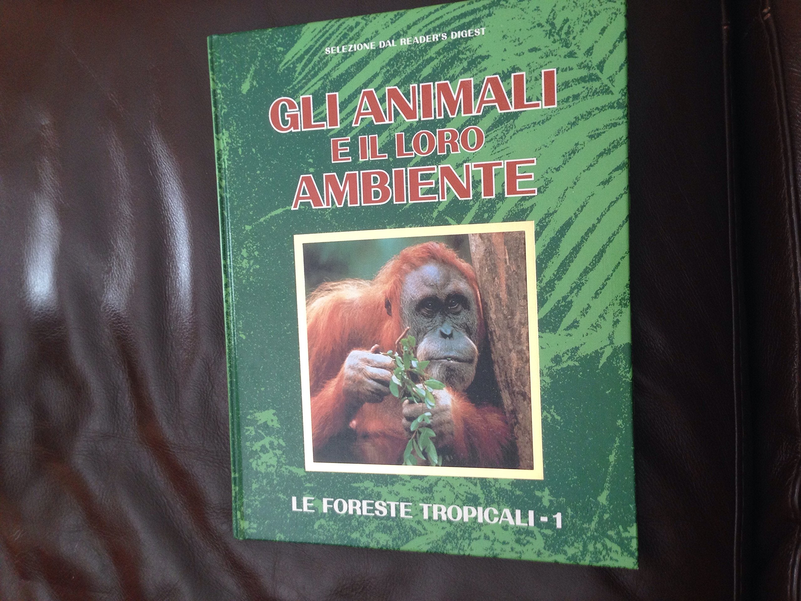 Gli animali e il loro ambiente. Le foreste tropicali (Vol. 1) book