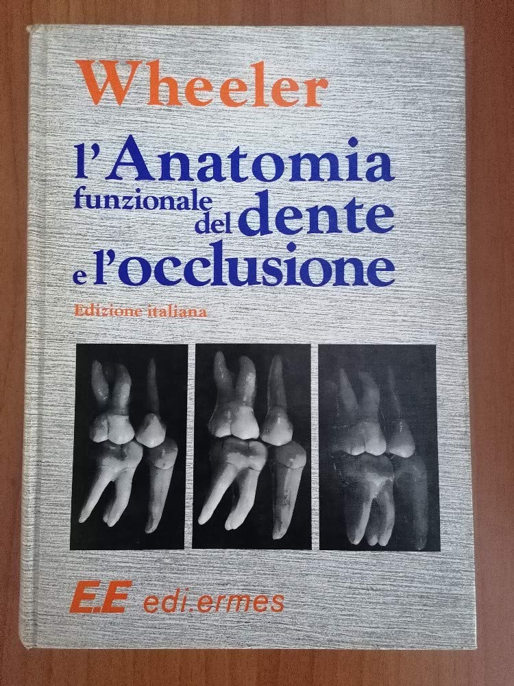 L'anatomia funzionale del dente e l'occlusione di Wheeler Medicine