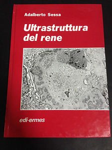 Ultrastruttura del rene Medicine