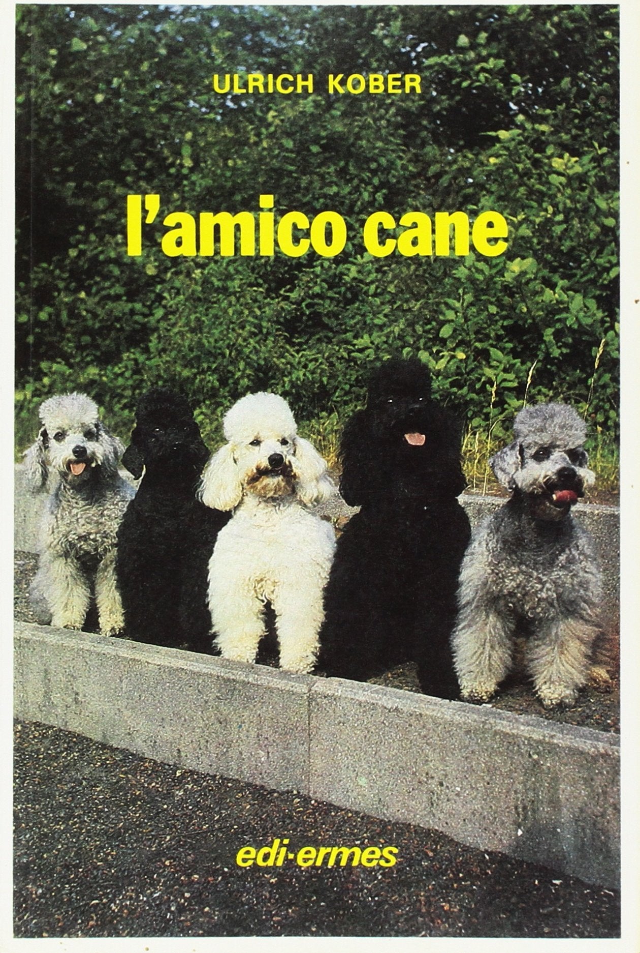 L'amico cane Pets