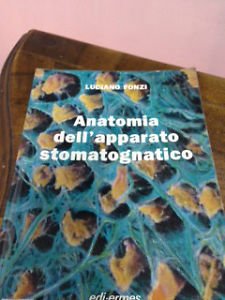 Anatomia dell'apparato stomatognatico Medicine
