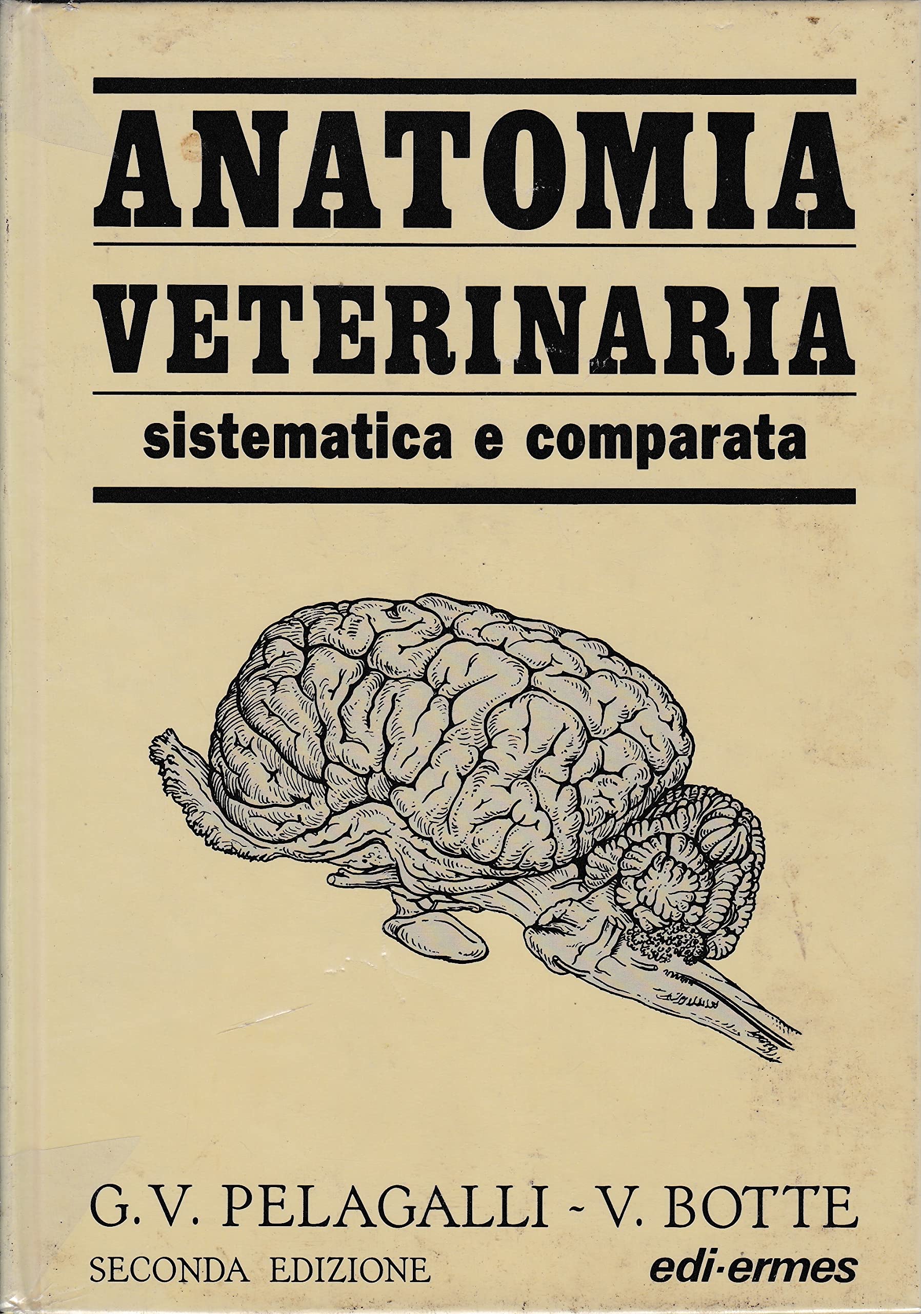 Anatomia veterinaria sistematica e comparata (Vol. 3) Medicine