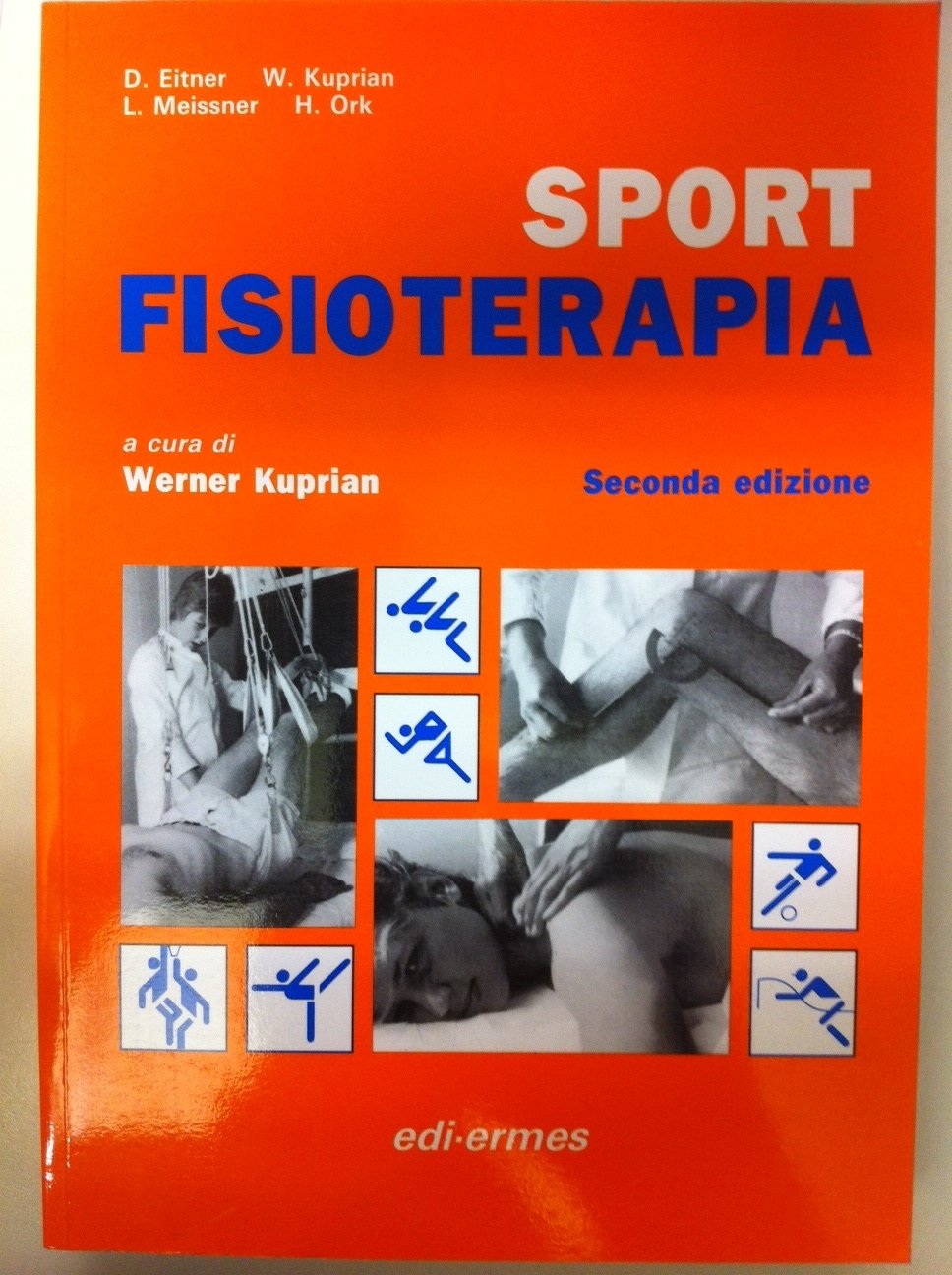 Sport fisioterapia book