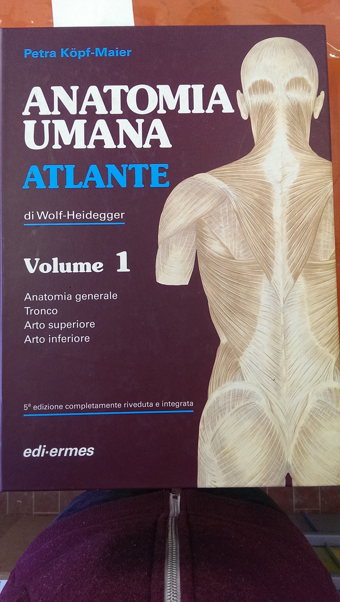 Anatomia umana. Atlante di Wolf-Heidegger book