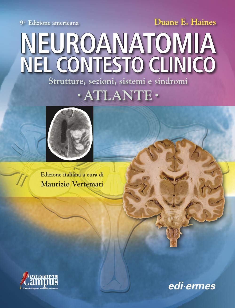Neuroanatomia nel contesto clinico. Strutture, sezioni, sistemi e sindromi. Atlante Medicine