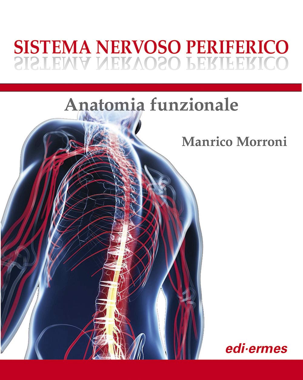 Sistema nervoso periferico. Anatomia funzionale book