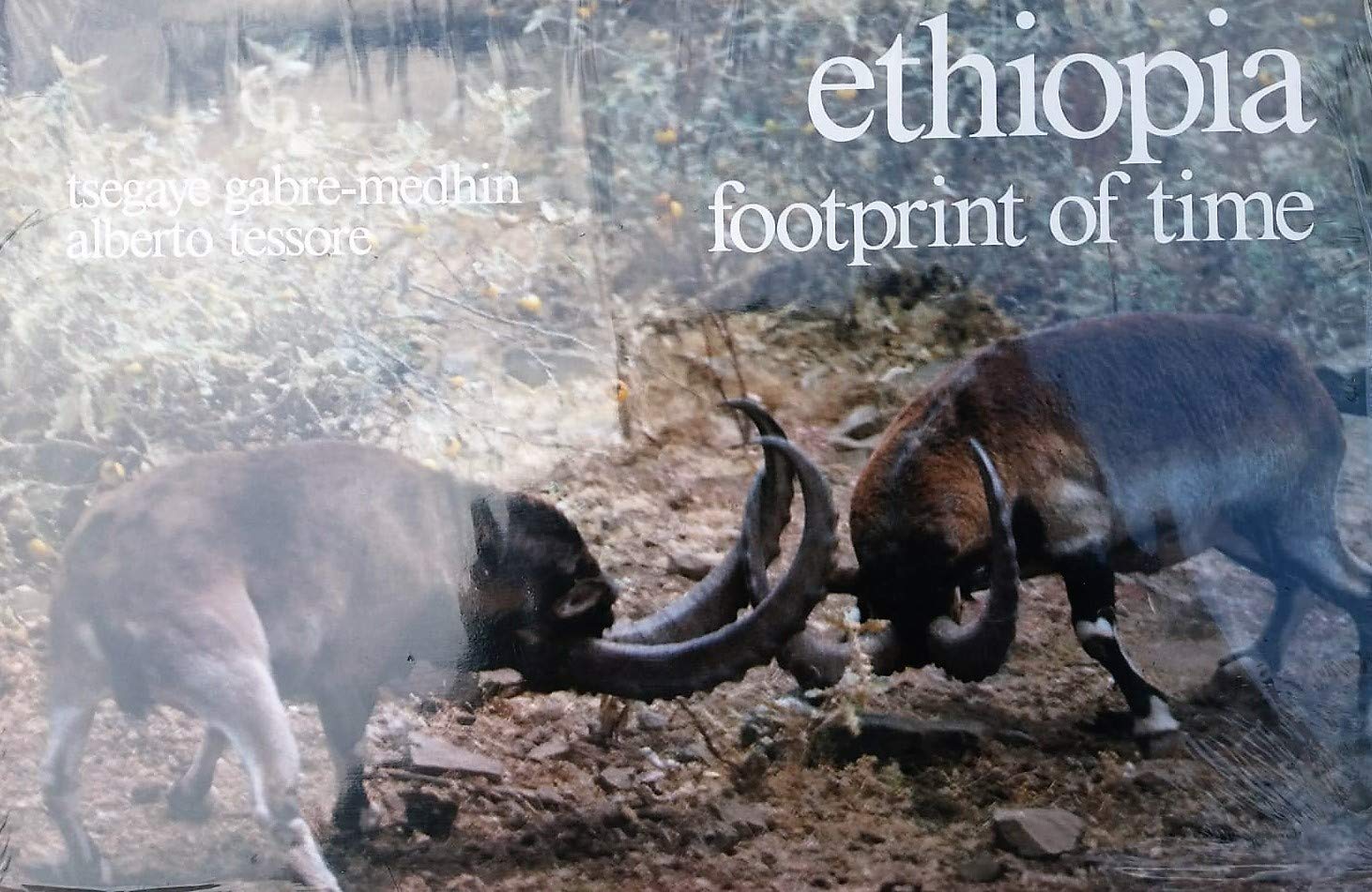 Ethiopia: Footprint of time Books