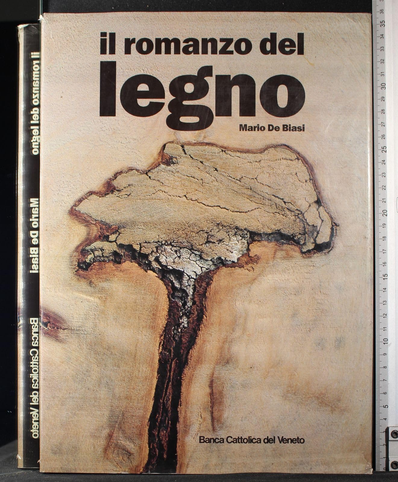 Il romanzo del legno. book