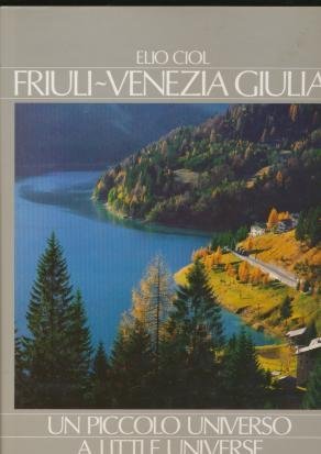 Friuli Venezia Giulia: un piccolo universo-A little universe. Ediz. illustrata Leisure, Home & Garden