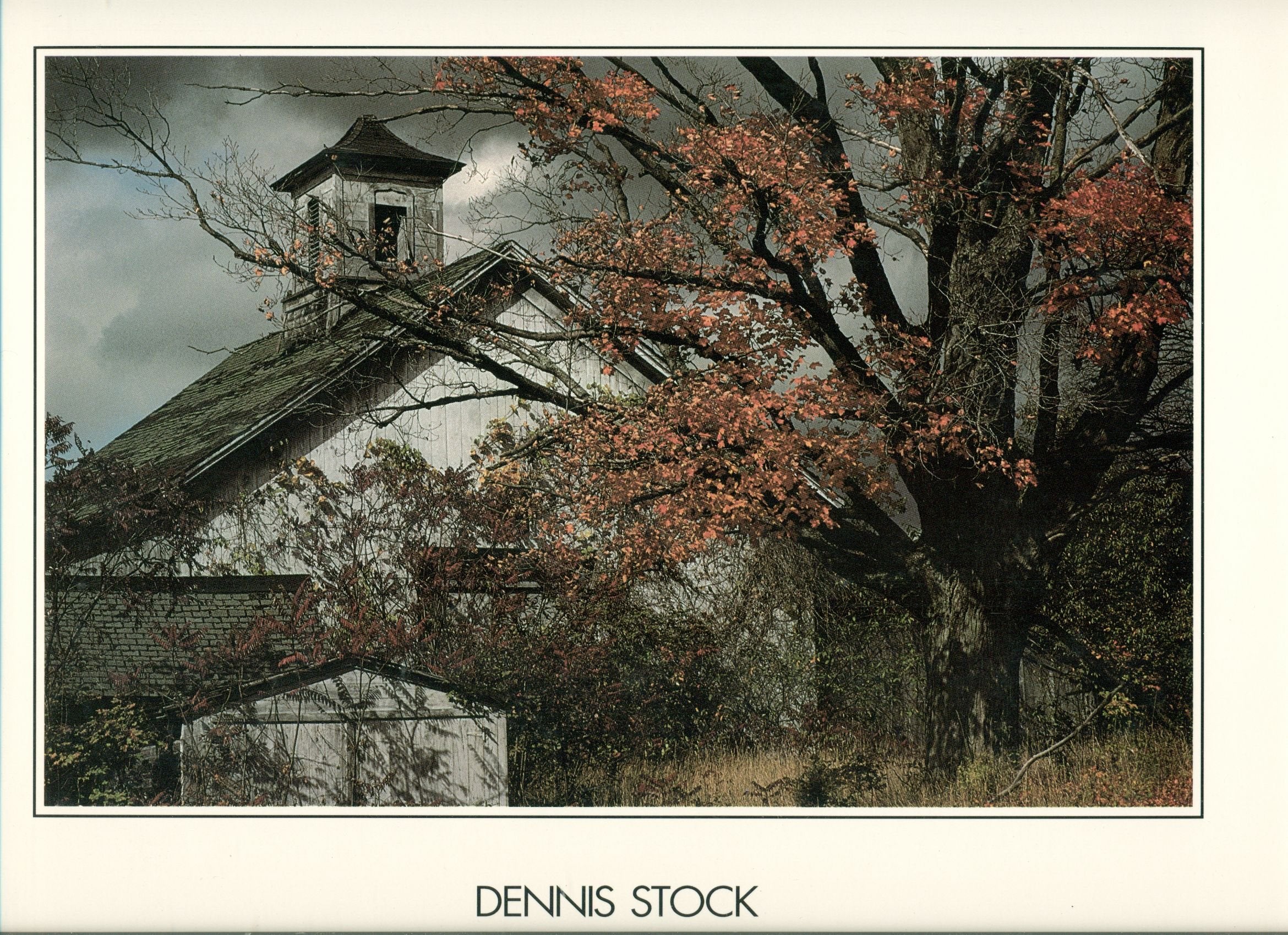 New England Books