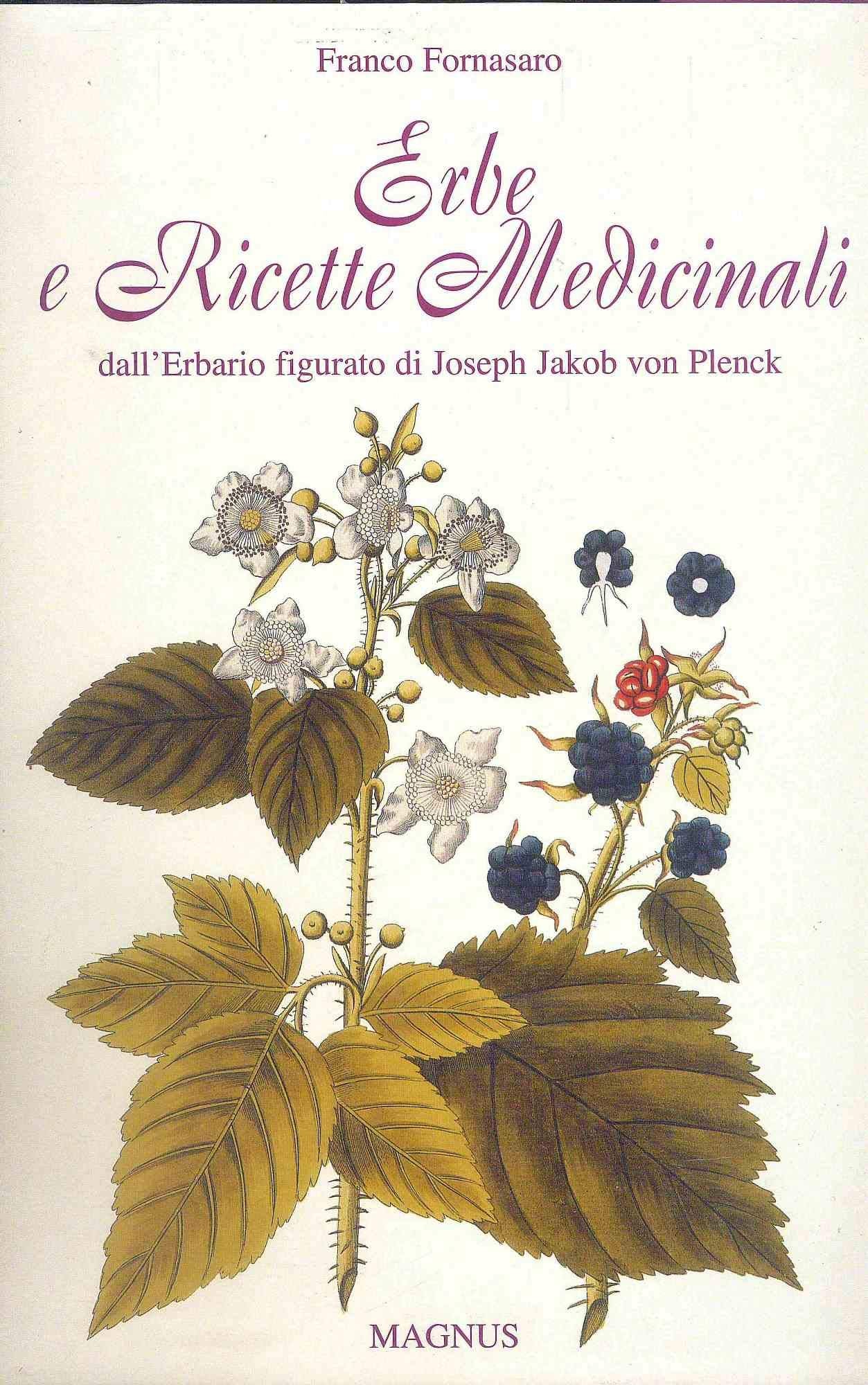 Erbe e ricette medicinali. Ediz. illustrata Health, Nutrition & Fitness