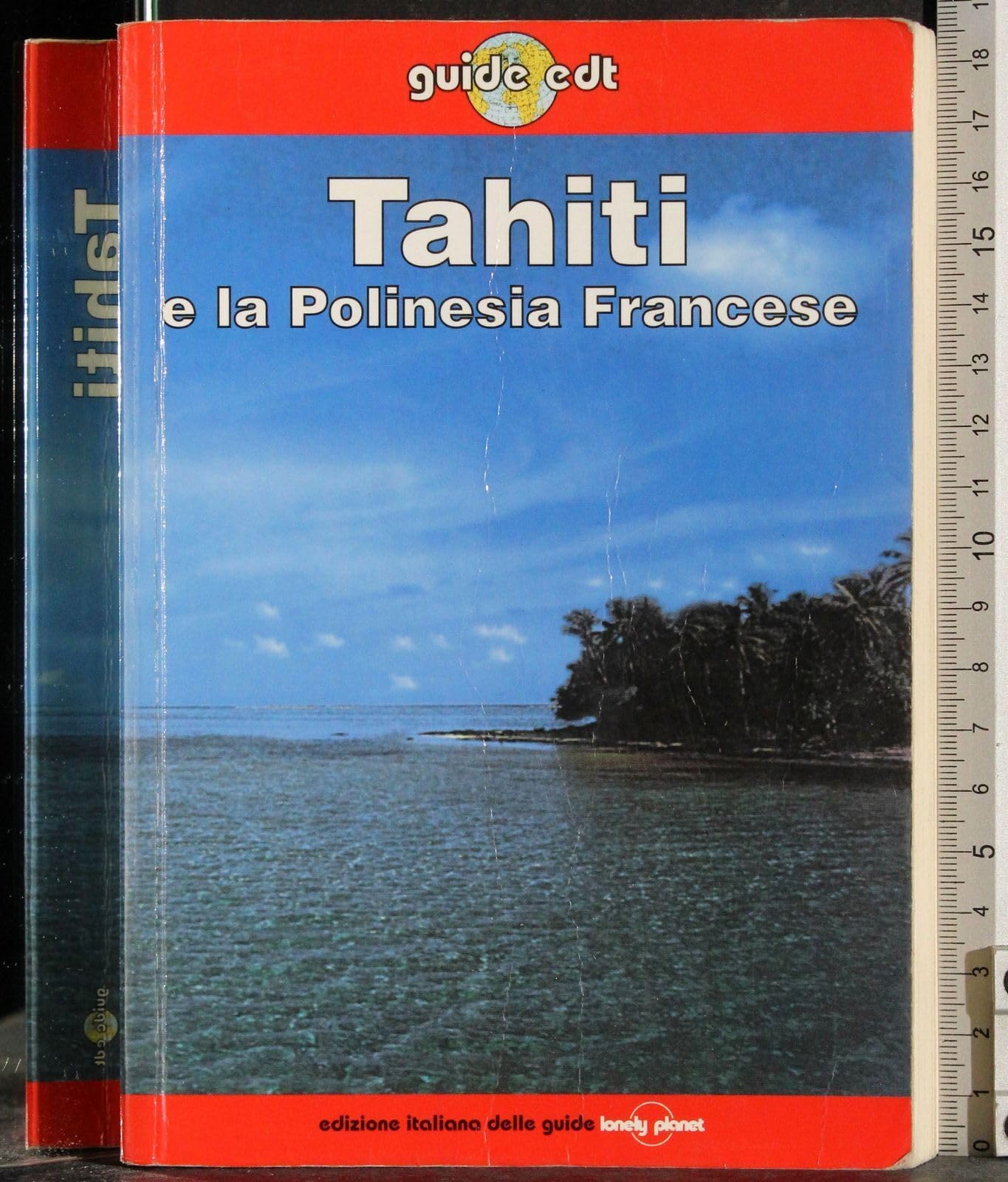 Tahiti e la Polinesia francese book