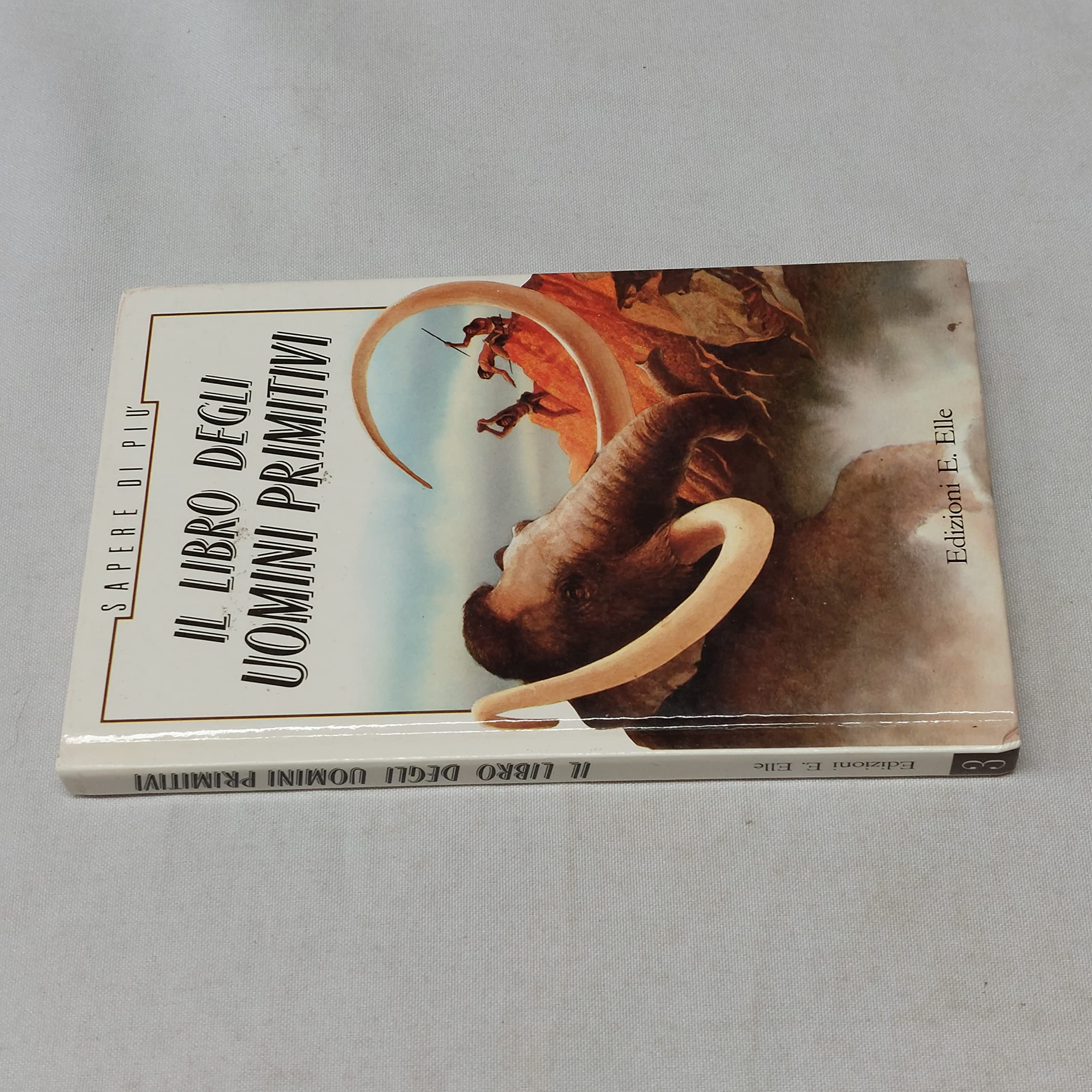 Il libro degli uomini primitivi (Sapere di più) Books
