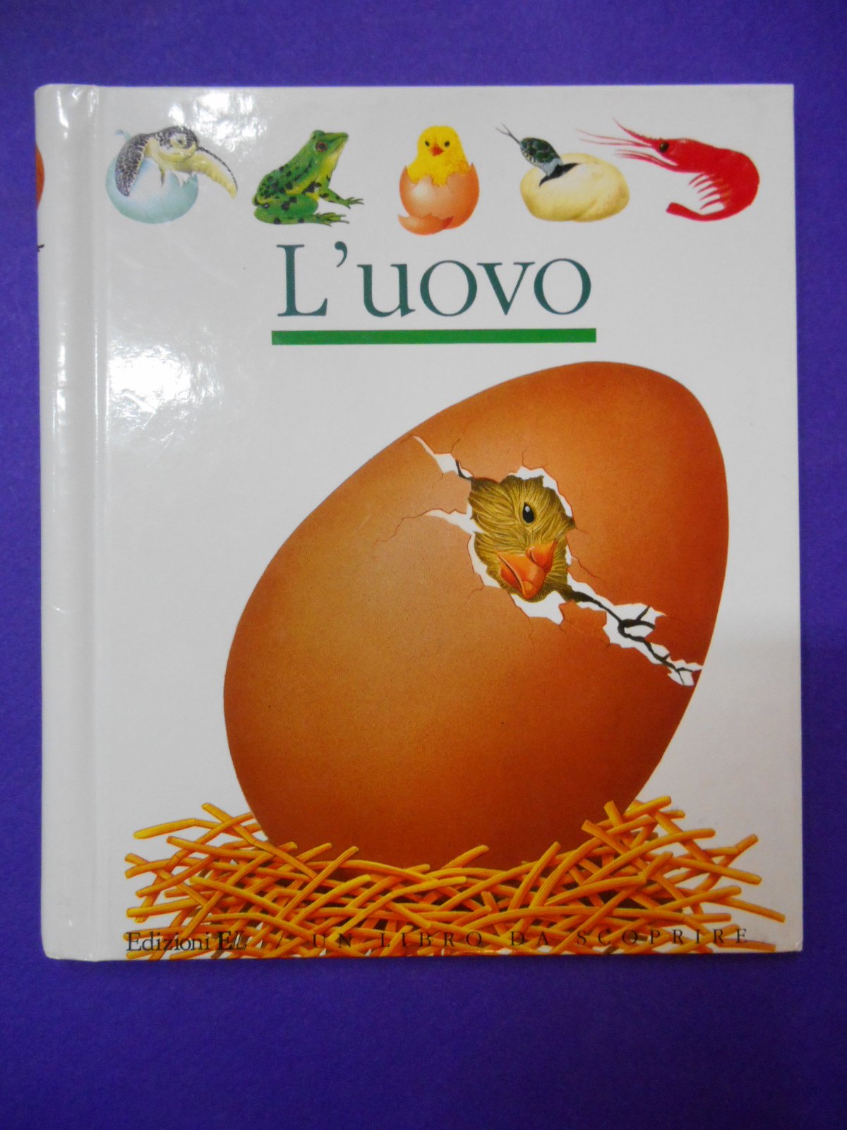 L'uovo (Un libro da scoprire) Children's books