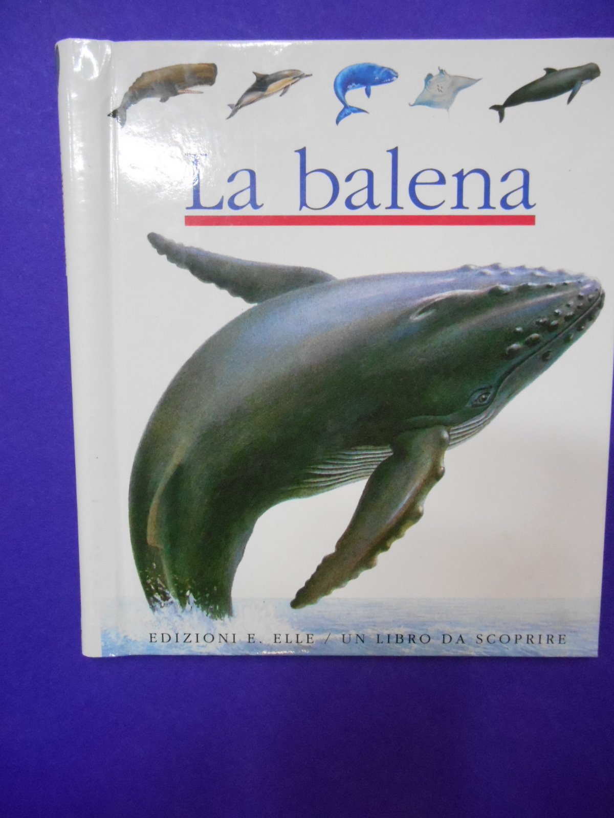 La balena (Un libro da scoprire) Books