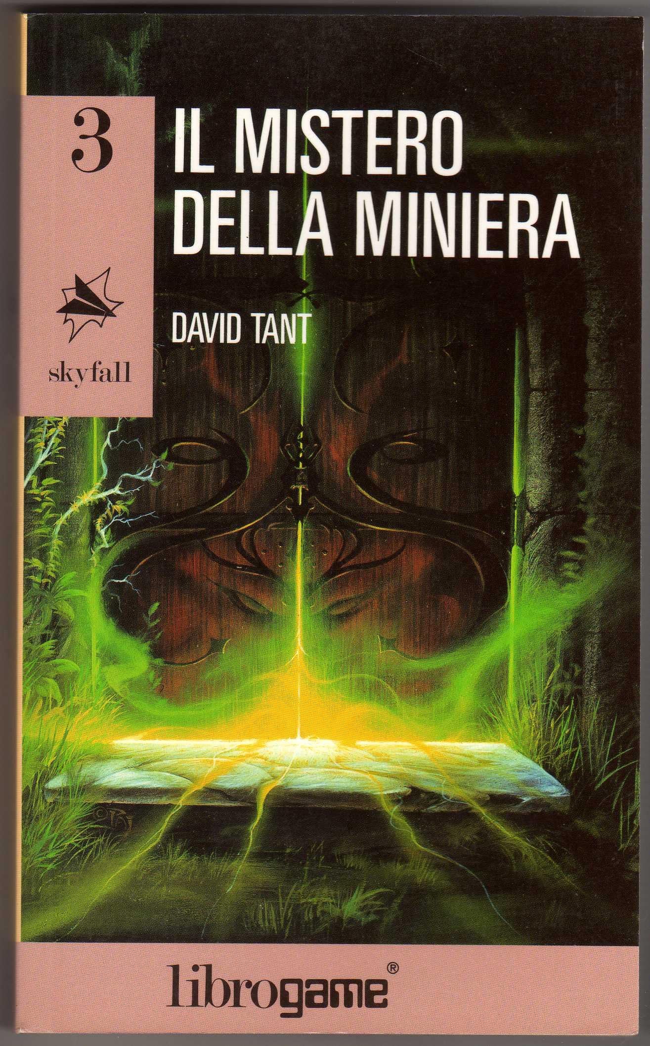 Il mistero della miniera (Libro game. Skyfall) Books