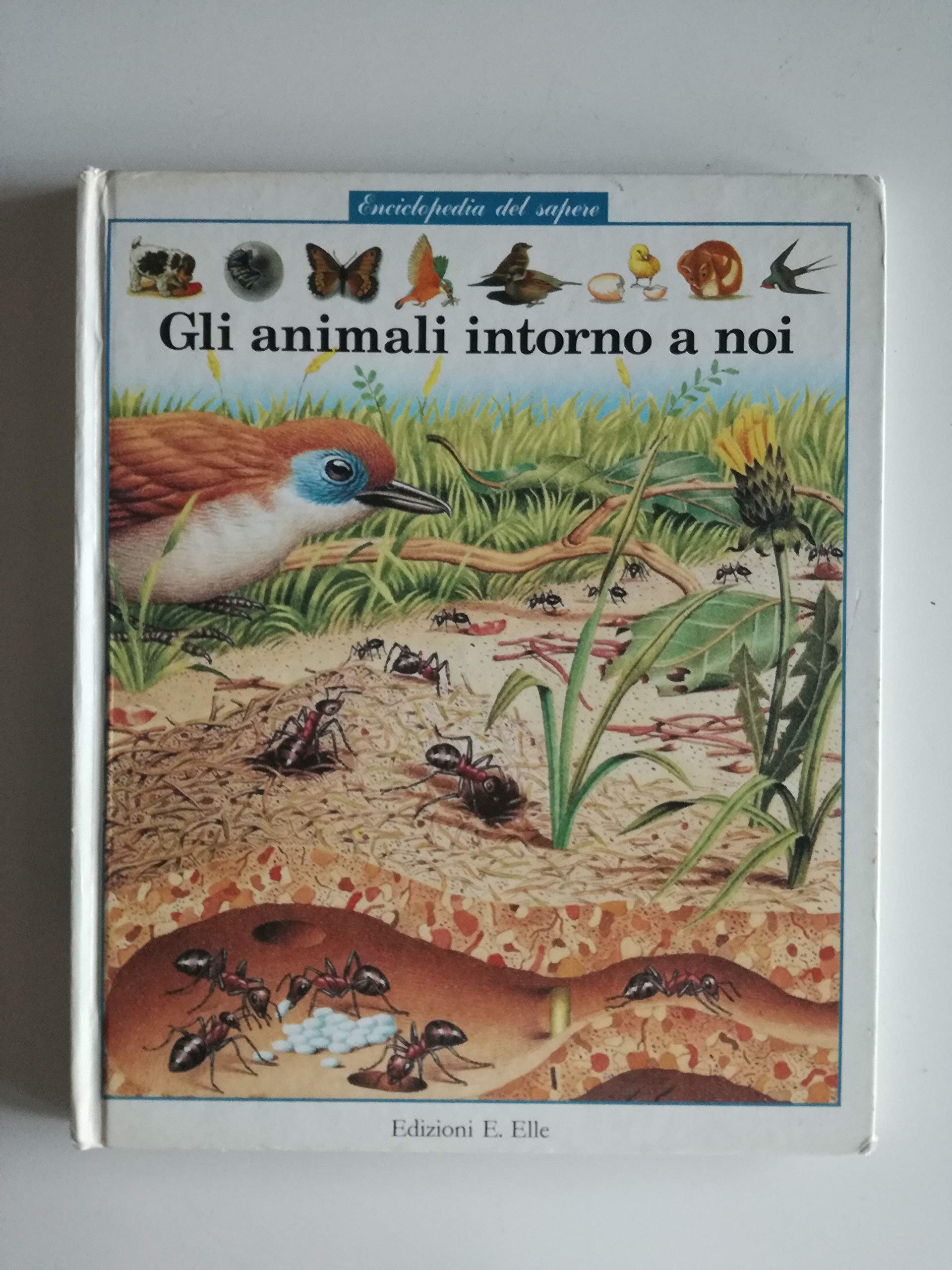 Gli animali intorno a noi book