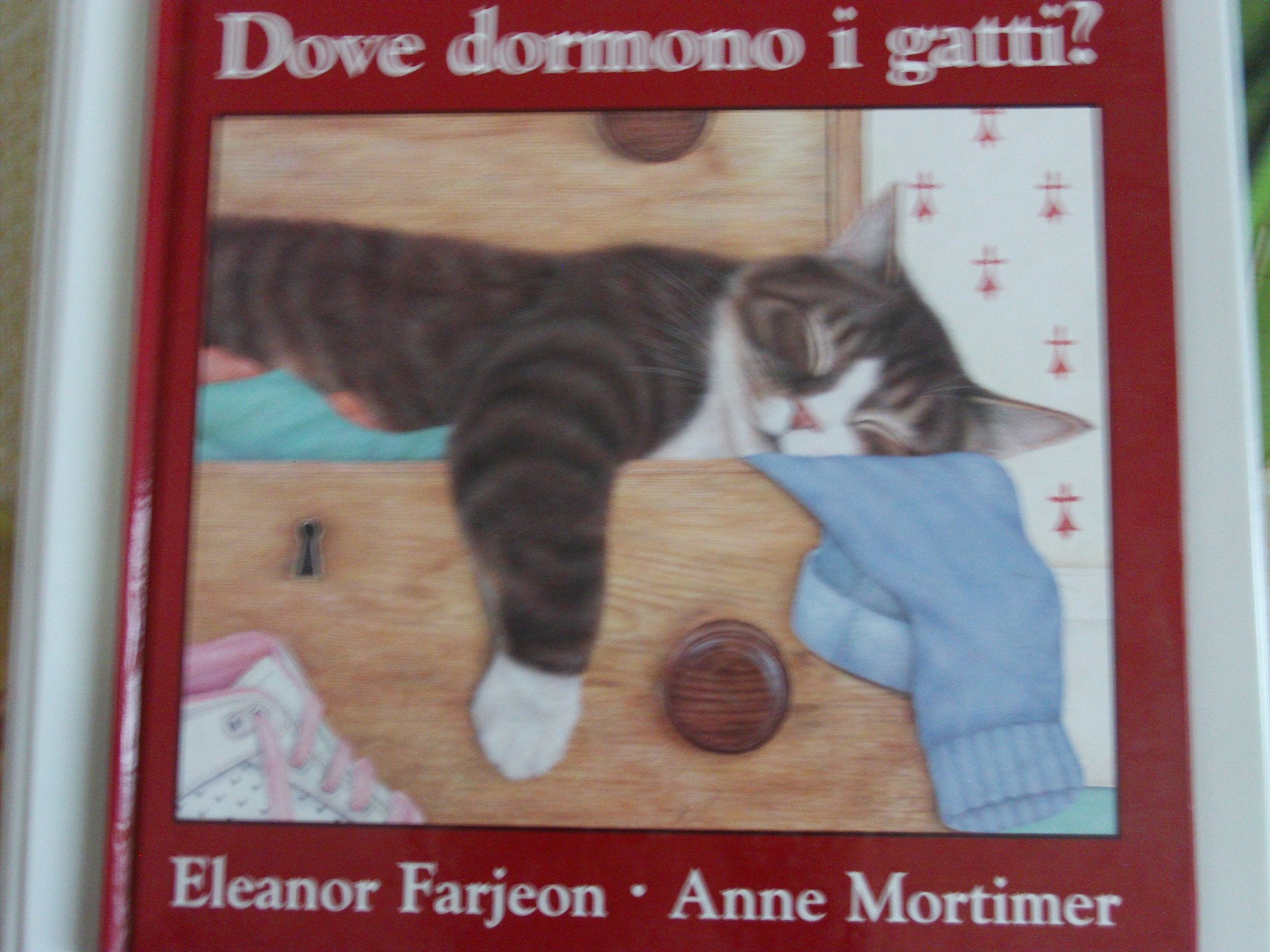 Dove dormono i gatti? Books