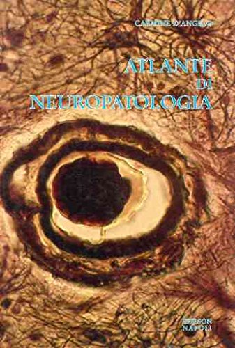 Atlante di neuropatologia book