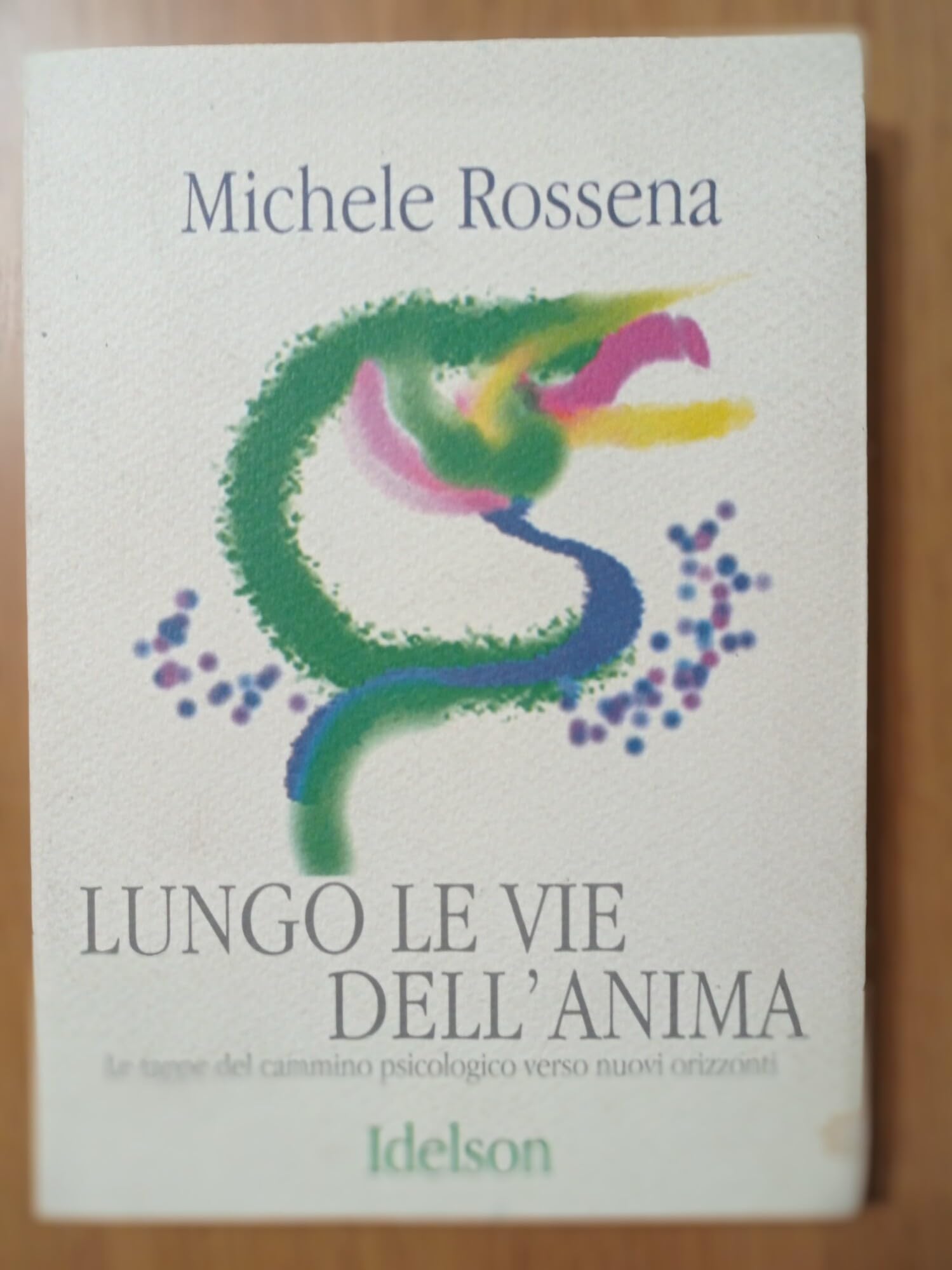 Lungo le vie dell'anima. Le tappe del cammino psicologico verso nuovi orizzonti book