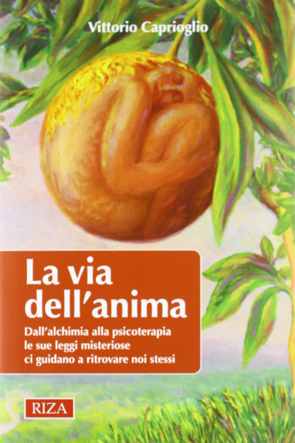 La via dell'anima. Dall'alchimia alla psicoterapia le sue leggi misteriose ci guidano a ritrovare noi stessi Religion & Esotericism